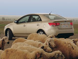 Kia Cerato
