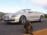 BMW 6 Series Convertible BMW 6 Series Convertible