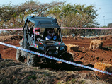 Polaris RZR-S