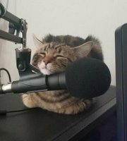 Анатолий Иванов